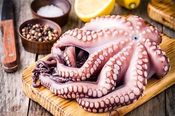Cephalopod exports to China surged by 50% 