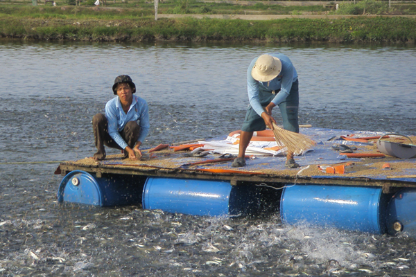 Vietnam to have 2 million tonnes of aquaculture products
