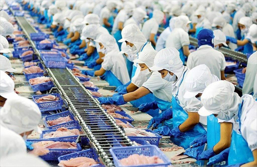 Vietnams seafood exports grow impressively in many markets