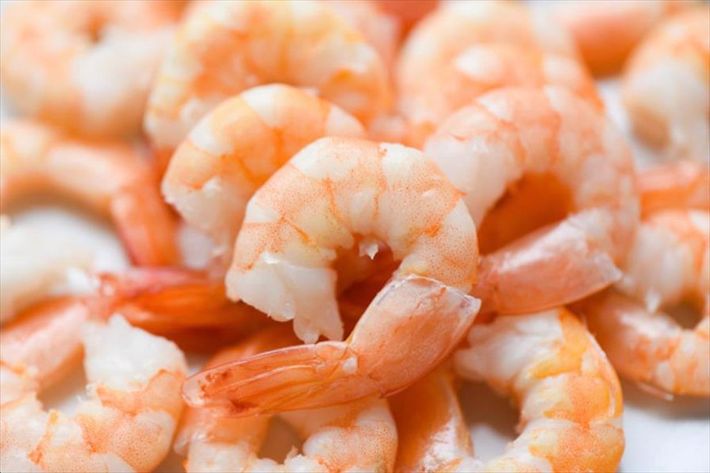 Vietnam increases shrimp exports to Canada Australia Singapore