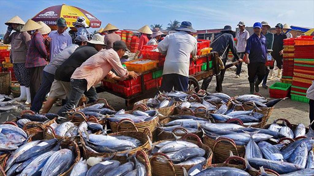 Vietnam’s exports of marine products reached over 920 million USD in QI2022