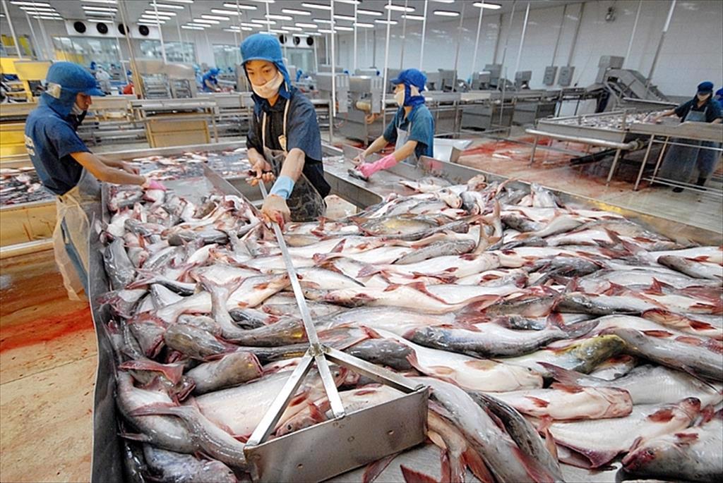Vietnam’s seafood exports to Canada are expected to continue to increase sharply