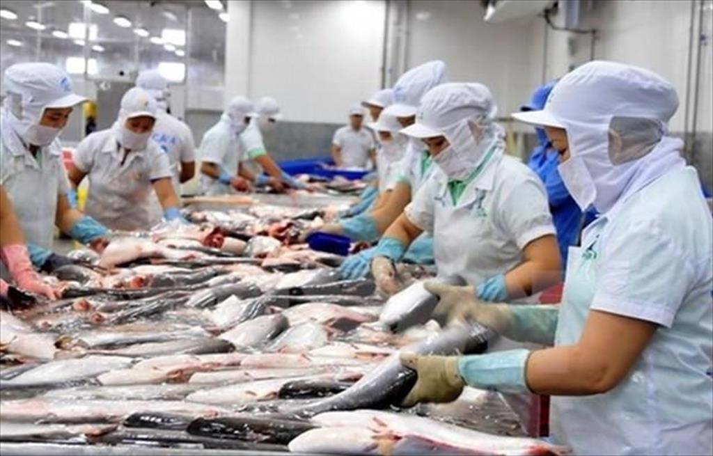 VASEP Highlight - April.2022 Pangasius exports to 3 important markets