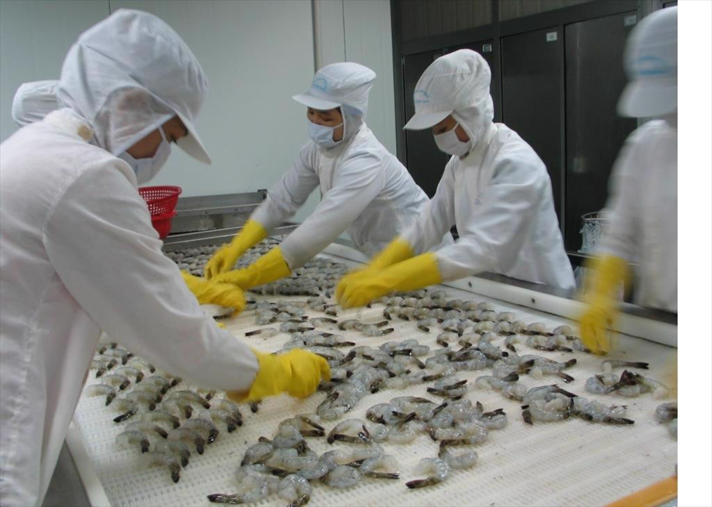 Vietnam shrimp exports the United States slowed but increased to China in May 2022 