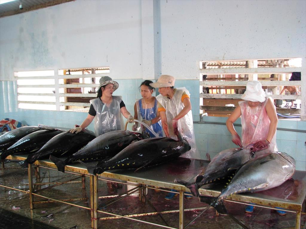 Egypt increasingly imports tuna from Vietnam
