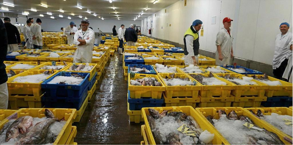 Vietnam pangasius exports to the UK in August 2022 increased 3 times over the same period