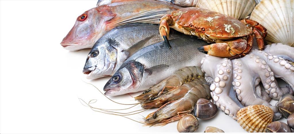 Vietnam’s marine products exports reached 2.8 billion USD in the first 8 months of 2022