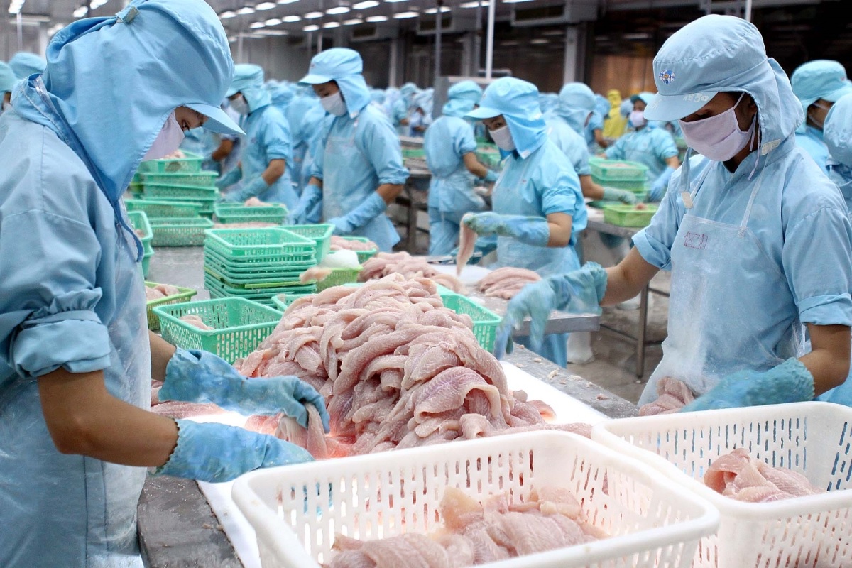 China – The main market for Vietnamese pangasius in 2022