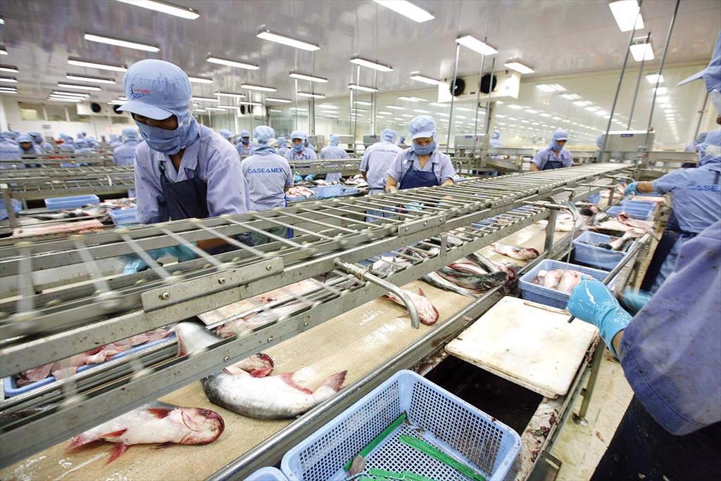 Vietnam’s seafood industry The record of 10 billion USD and challenges ahead