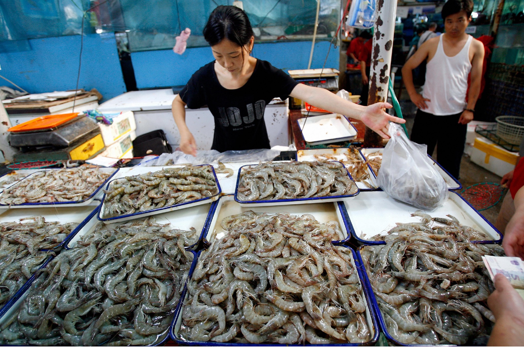 Vietnam’s shrimp exports to China increased by 50% in October