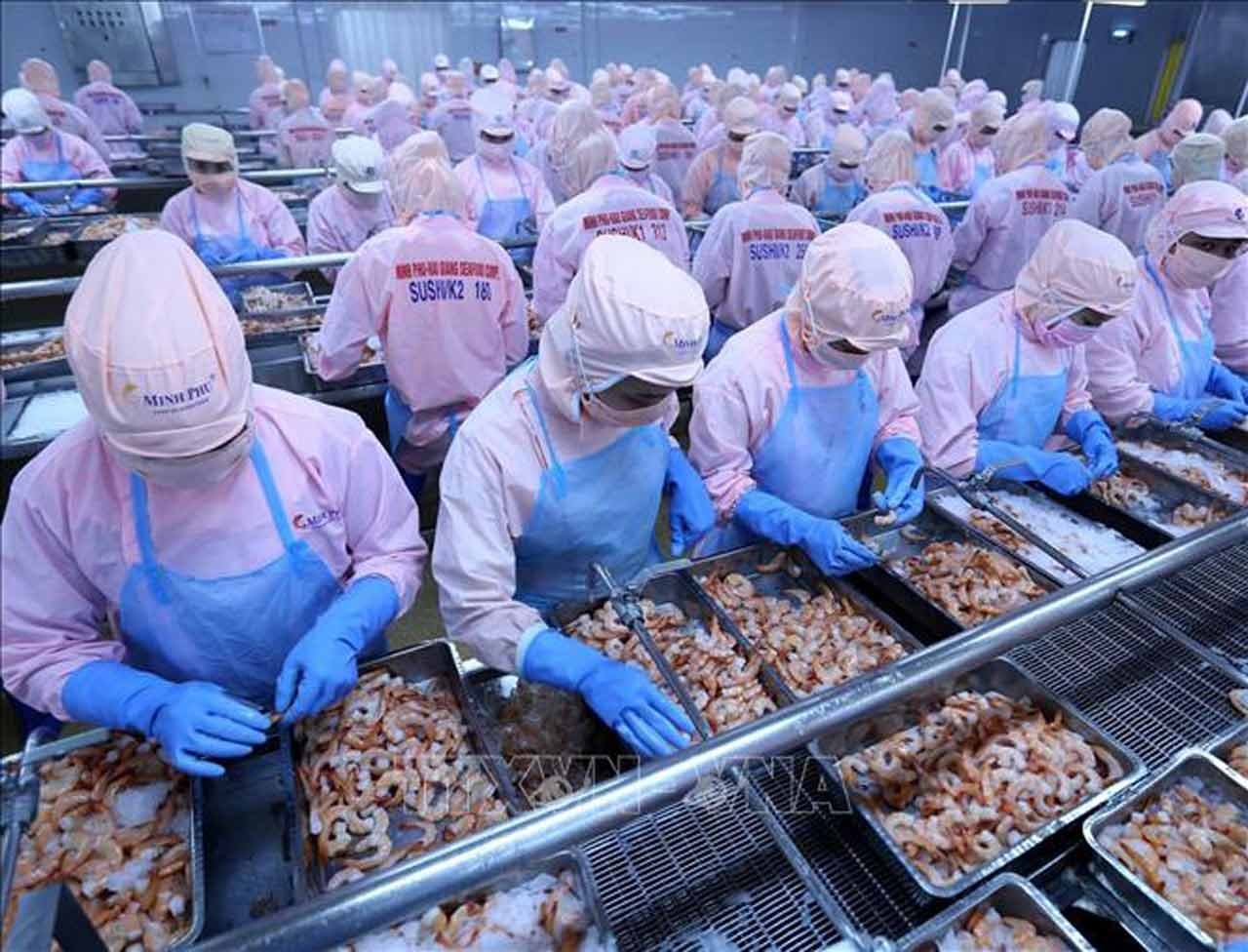 Vietnam shrimp exports reached more than 4 billion USD by November 