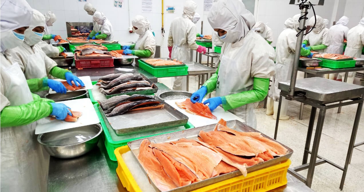 Listed seafood enterprises set a new peak in 2022