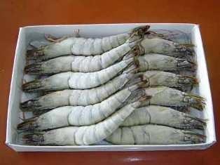 Argentina: Shrimp price varied slightly in March 2014