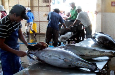 Central region firshermen reel in bigger earnings