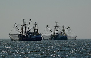 Fishing Frontlines A Sea Change for Southeast Asia Fish Exports