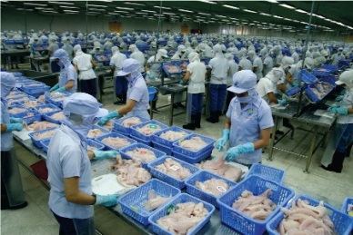 Vietnam - the 2nd largest whitefish supplier to US 