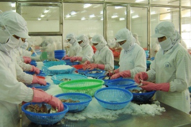 Ten highlights of Vietnam fisheries industry in 2012