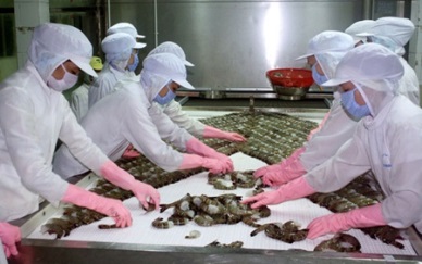 Shrimp exports up 9% in May 2015