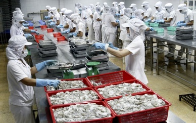 Seaprodex Net profit hit over VND70 billion in QI2017