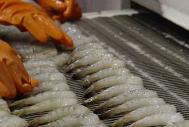 South Korea imposes Ethoxyquin test on Vietnamese shrimp