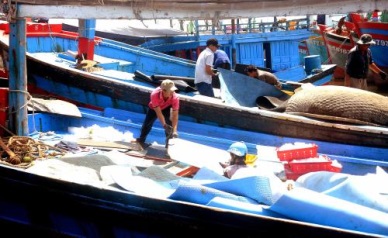 Binh Dinh Capture output rose by 5%