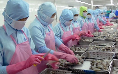 Up 18.5% in Vietnam shrimp exports