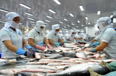 Spanish press informed about Vietnam’s tra fish products