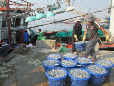 Quang Tri The fishing output reached over 7,200 MT