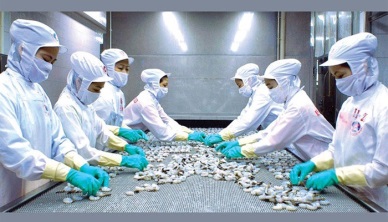 2017 MPC targets to increase by 10 times in net profit 