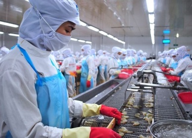 Positive growth in Vietnam’s shrimp exports to South Korea