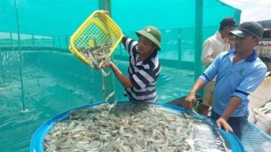 Bac Lieu Seafood exports target to reach US$1 billion by 2025