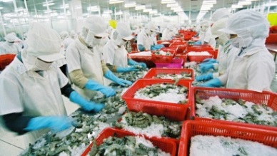 QII2019 Vietnam’s seafood exports to increase by 8%
