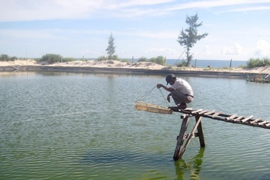 Quang Ninh district (Quang Binh) Promote capture fisheries and aquaculture