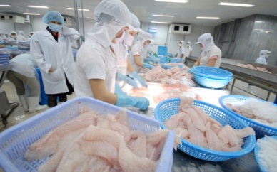 Positive result in pangasius exports to Singapore and the UK