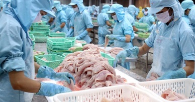 Up in Vietnam pangasius exports to Saudi Arabia