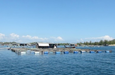 Aquaculture markets, future trends and perspectives