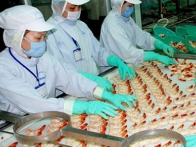 World shrimp market and supply-demand gap