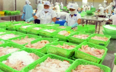 VN pangasius exporters need preparation to take opportunities from EVFTA