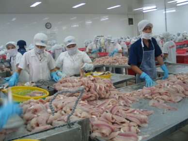 Agro-forestry-fishery exports hit 17.1 billion USD in six months