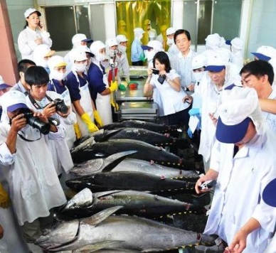 Japan tech yields good catch