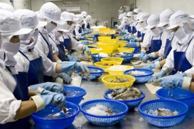Vietnam’s shrimp exports to EU increase 7.5%
