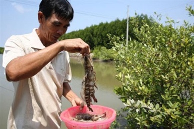Mekong Delta takes urgent steps to prevent drought