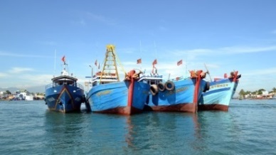 VASEP PROPOSES TO COOPERATE WITH 4 STATE AGENCIES TO COMBAT IUU FISHING