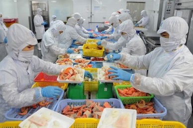 Vietnams shrimp exports earn $1.56 billion in H1
