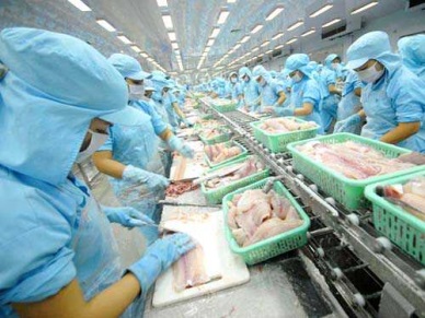  Vietnam seafood exports in QI.2018 rose 17%