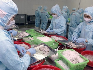 Vietnam shrimp exports to EU slightly rose