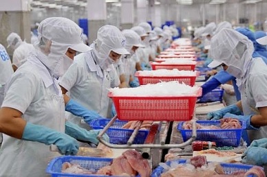 Vietnam pangasius exports A positive sign from China - Hong Kong market