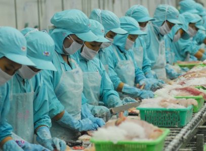 Delta seafood firms, farmers in chain of debts