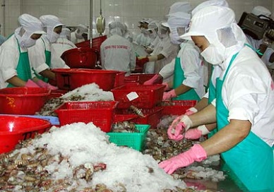 Vietnam shrimp exports Look back 20 years 