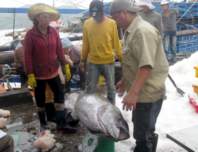 Binh Dinh looks to make fisheries key growth sector